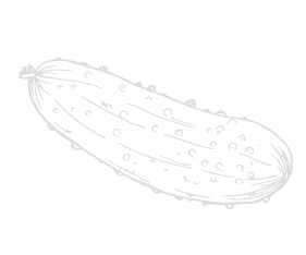 Cucumber
